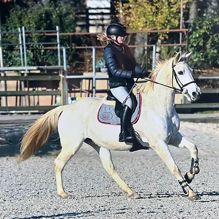 Domaine Des Ecuries - La Petite Percheronne *
