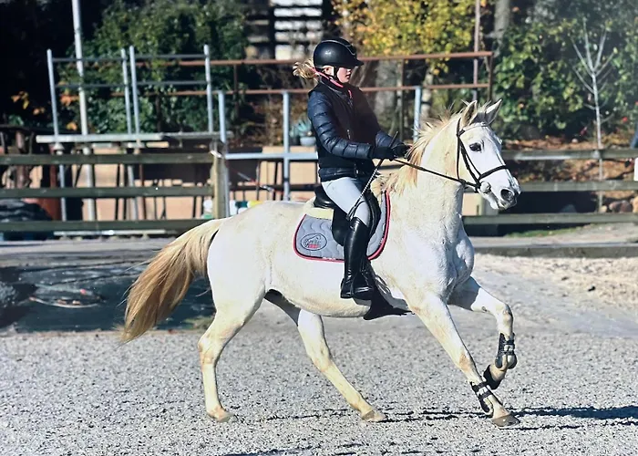 Domaine Des Ecuries - La Petite Percheronne *